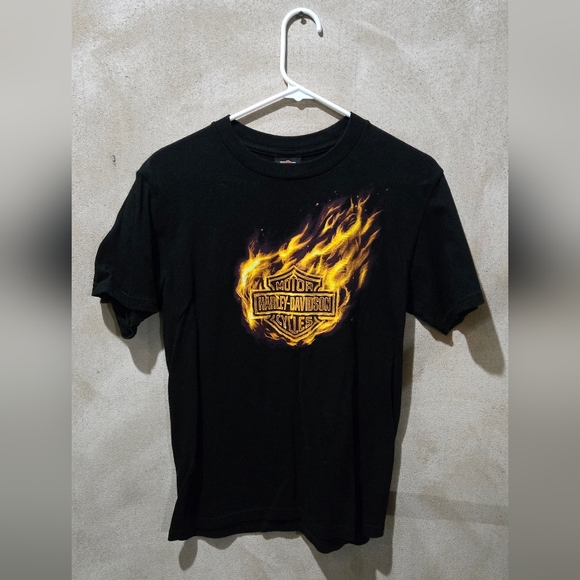 Harley Davidson Flaming Gorge Rock Springs, Wyoming 2003 Large Vtg - Picture 2 of 6